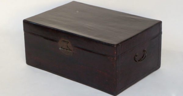 Leather Trunk