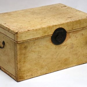 White Leather Trunk